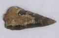 Arrowhead Image preview