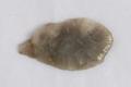 Arrowhead Image preview