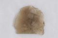 Arrowhead Image preview