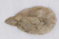 Arrowhead Image preview