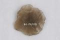 Arrowhead Image preview