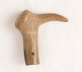 Walking stick Image preview