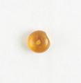 Bead Image preview