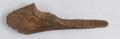 Worked bone Image preview