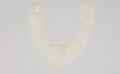 Collar Image preview