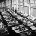 The Open Air School in Bow Image preview
