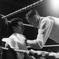 Young boy in the corner of a boxing ring receiving treatment at the London Schools Amateur Boxing Competition Image preview