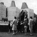 Visitors to the elephant enclosure at London Zoo Image preview