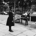 Traffic warden and donkey Image preview
