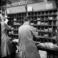 Employees at work sorting letters at the Royal Mail Mount Pleasant Sorting Office Image preview