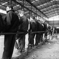 Employees of Thamesmead Industrialised Building Factory Image preview