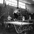 Boys in a gymnasium at Vittoria Primary School, Islington Image preview