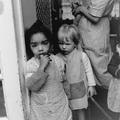 Children Playing at the Pond Street Nursery Image preview