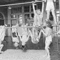 Children on a climbing apparatus at Mansfield Street Infants School Image preview