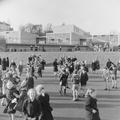 Playing field, Fairlawn Primary School Image preview