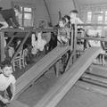 Climbing frame at the Norwood Playgroup Image preview