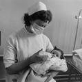Trainee nurse, Joyce Green Hospital Image preview