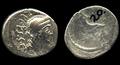 Coin, denarius Image preview