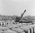 Wine in barrels, Royal Docks Image preview