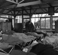 Children sleeping at the Franklin D. Roosevelt School, Hampstead Image preview