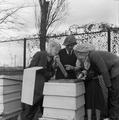 Beekeeping at the Franklin D. Roosevelt School, Hampstead Image preview