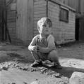 Bayswater, August 1954 Image preview