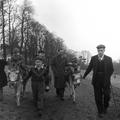 Donkey rides on Hampstead Heath Image preview