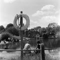 Vale of Health Pond, Hampstead Heath Image preview