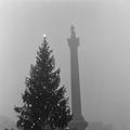 Trafalgar Square, Christmas 1955 Image preview