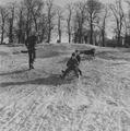 Boys on a toboggan, Hampstead Heath Image preview