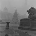Trafalgar Square, Christmas 1955 Image preview