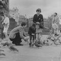Family looking at the pigeons in Trafalgar Square Image preview