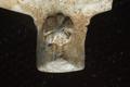 Tobacco pipe, clay pipe Image preview
