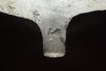 Tobacco pipe, clay pipe Image preview
