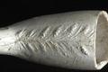 Tobacco pipe, clay pipe Image preview