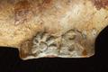Tobacco pipe, clay pipe Image preview