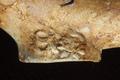 Tobacco pipe, clay pipe Image preview
