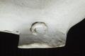 Tobacco pipe, clay pipe Image preview