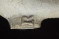 Tobacco pipe, clay pipe Image preview