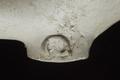Tobacco pipe, clay pipe Image preview