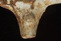 Tobacco pipe, clay pipe Image preview