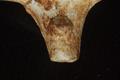 Tobacco pipe, clay pipe Image preview
