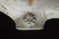 Tobacco pipe, clay pipe Image preview