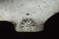 Tobacco pipe, clay pipe Image preview