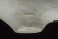Tobacco pipe, clay pipe Image preview