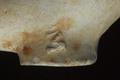 Tobacco pipe, clay pipe Image preview