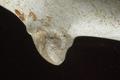 Tobacco pipe, clay pipe Image preview
