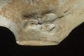 Tobacco pipe, clay pipe Image preview