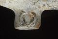 Tobacco pipe, clay pipe Image preview