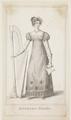 Evening Dress. Image preview